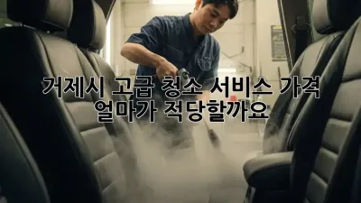 거제시 고급 청소 서비스 가격, 얼마가 적당할까요?