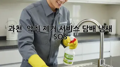 과천 # 악취 제거 서비스, 담배 냄새 SOS 🚨