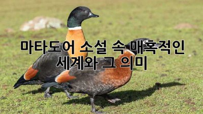 마타도어: 소설 속 매혹적인 세계와 그 의미