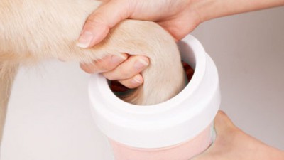 대형견 발세척, 이제 쉽고 깨끗하게! 꿀팁 대방출 ✨
